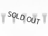 【ネコポス対応】TAMIYA(タミヤ)/3x10mm チタン六角皿ビス（5本入）