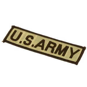 画像1: 【ネコポス対応】イーグルフォース(EAGLE FORCE)/5558-06/US ARMY アイロンパッチ[DC]