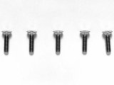 【ネコポス対応】TAMIYA(タミヤ)/3x12mm チタン六角皿ビス（5本入）