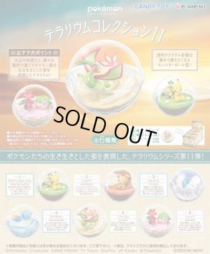 画像1: RE-MENT(リーメント)/4521121206592/【箱売り】ポケットモンスター テラリウムコレクション11【1BOX=6個入】