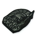 【ネコポス対応】イーグルフォース(EAGLE FORCE)/5453-43/EA MOAON AABE パッチ