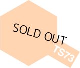 TAMIYA(タミヤ)/TS-73 クリヤーオレンジ