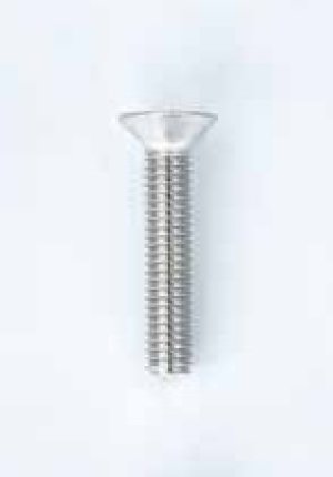 画像6: 【ネコポス対応】Reve D（レーヴ・ディー）/RC-FH306S__RC-FH318S/ステンレス製 フラットヘッドスクリュー (10本入)