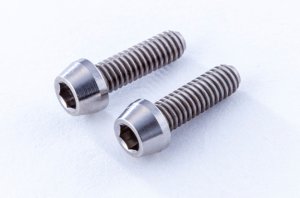 画像1: 【ネコポス対応】Reve D（レーヴ・ディー）/RT-C258/SPM チタン製 キャップスクリュー(M2.5×8mm、2個入)