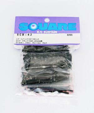 画像1: 【ネコポス対応】スクエア(SQUARE)/SCB-42/スチールヘックスビスセット(タミヤ クラッドバスター2026用)