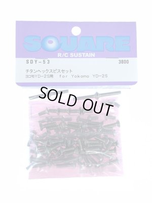 画像1: 【ネコポス対応】スクエア(SQUARE)/SDY-53/ヨコモ YD-2S用チタンヘックスビスセット