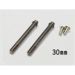 画像1: 【ネコポス対応】ワールドプロ/WP-0056/PROGRESS  ダンパーシャフト 30mm 2本入
