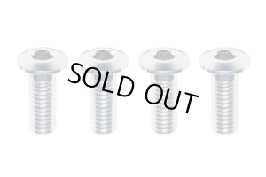 画像1: 【ネコポス対応】YOKOMO(ヨコモ)/ZC-LH38A/アルミ製 ロープロヘッド M3×8mm ヘックススクリュー