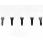 画像: 【ネコポス対応】TAMIYA(タミヤ)/3x12mm チタン六角皿ビス（5本入）