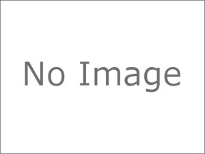 画像1: （処分特価）クロス/クロス タイヤカッターハブ8φ（サーパーントインパクト2用）