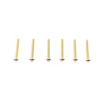 画像: 【ネコポス対応】スクエア(SQUARE)/NSR-315G/3×15ヘックスボタンビス(ゴールド)6個入