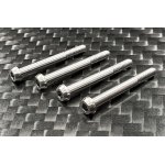 画像: 【ネコポス対応】Reve D（レーヴ・ディー）/RT-014/SPM チタン製 RS-ST PRO 用 サーボケーススクリュー (4本入 )