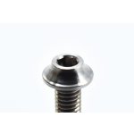 画像: 【ネコポス対応】Reve D（レーヴ・ディー）/RT-020-10/SPM チタン製 ボタンヘッドスクリュー(M3×10mm)4本入 ※旧品番:RT-010-10