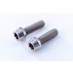 画像: 【ネコポス対応】Reve D（レーヴ・ディー）/RT-C258/SPM チタン製 キャップスクリュー(M2.5×8mm、2個入)