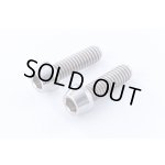 画像: 【ネコポス対応】Reve D（レーヴ・ディー）/RT-C258/SPM チタン製 キャップスクリュー(M2.5×8mm、2個入)