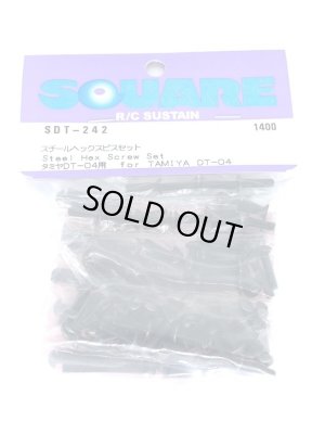 画像1: 【ネコポス対応】スクエア(SQUARE)/SDT-242/スチールヘックスビスセット (タミヤDT-04用)