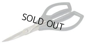 画像1: 【ネコポス対応】TOPLINE(トップライン)/TP-609/ステンレス曲線バサミ 1本入